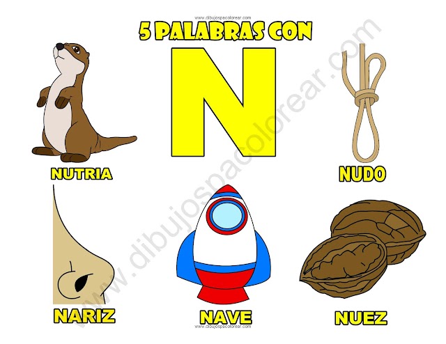 Cinco Palabras con la letra N dibujo a color y para colorear